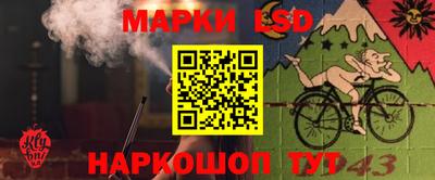 a pvp Будённовск
