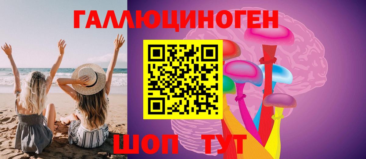 Галлюциногенные грибы Psilocybine cubensis  Вход с VPN  Галлюциногенные грибы мицелий  Конаково 